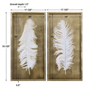 Uttermost White Feathers Set of 2 Shadow Box Frames