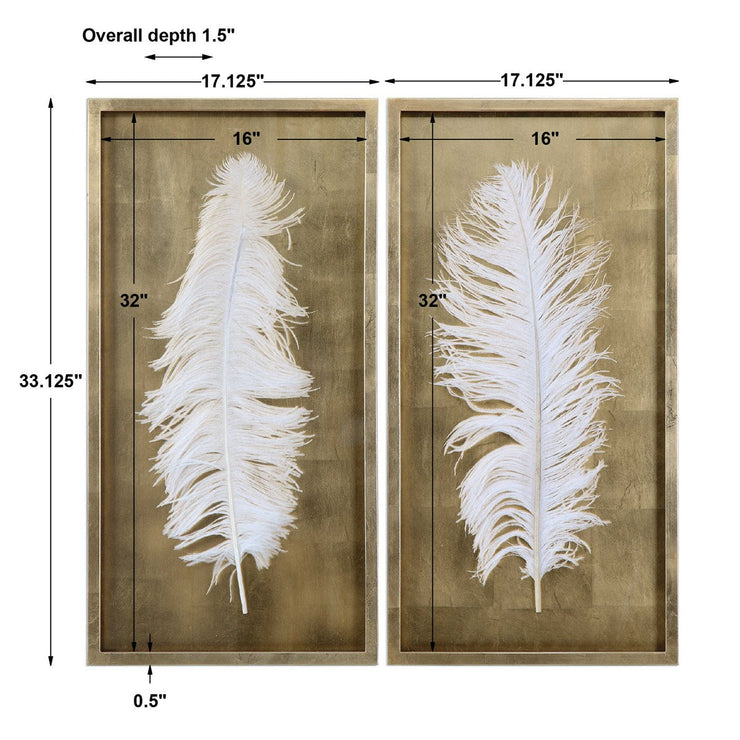 Uttermost White Feathers Set of 2 Shadow Box Frames