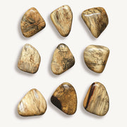 Uttermost Pebbles Blonde Set of 9 Wood Wall Decor