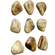 Uttermost Pebbles Blonde Set of 9 Wood Wall Decor
