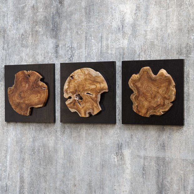 Uttermost Kolini Set of 3 Teak Wood Wall Decor