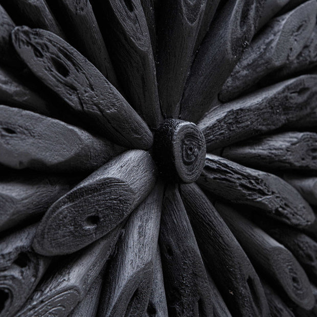 Uttermost Bahama Black Driftwood Wall Decor