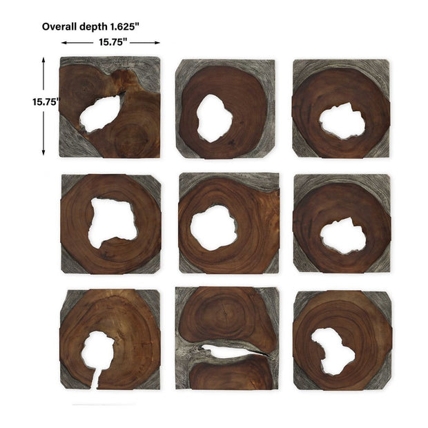 Uttermost Jungle Set of 9 Suar Wood Wall Decor
