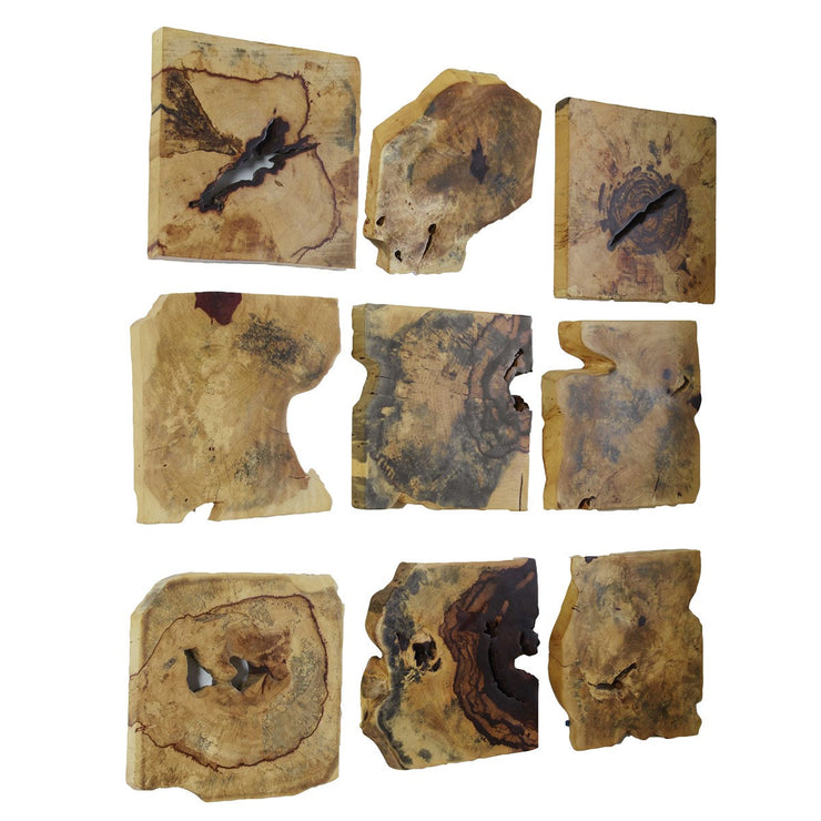 Uttermost Bahati Natural Tamarind Set of 9 Wood Wall Decor