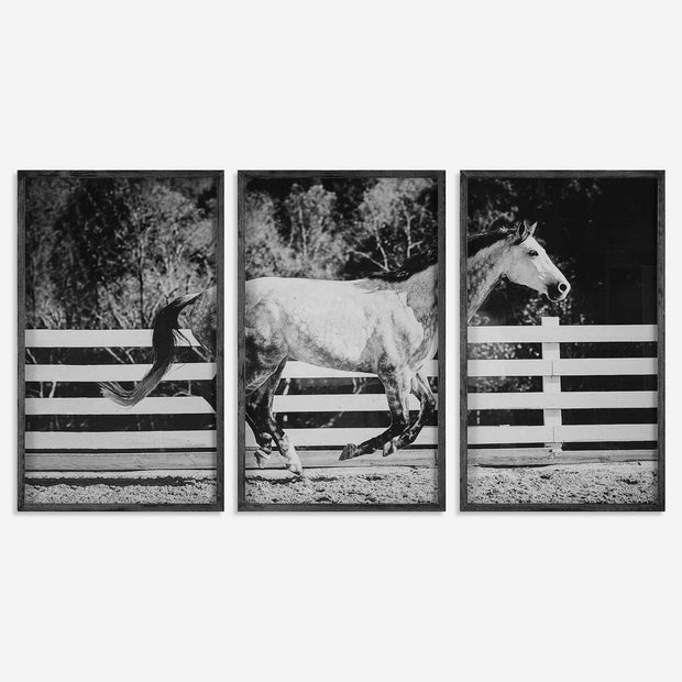 Uttermost Galloping Forward Set of 3 Horse Framed Prints