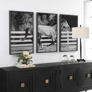 Uttermost Galloping Forward Set of 3 Horse Framed Prints