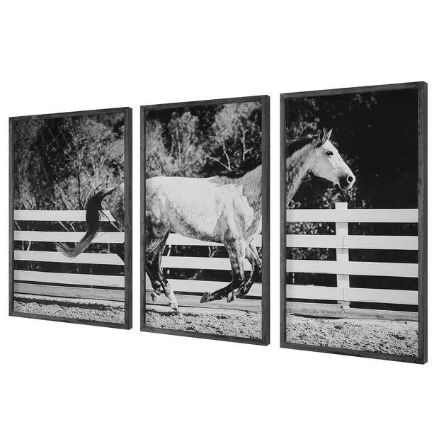 Uttermost Galloping Forward Set of 3 Horse Framed Prints