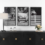 Uttermost Galloping Forward Set of 3 Horse Framed Prints