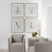 Uttermost Heirloom Blooms Study Set of 4 Framed Prints