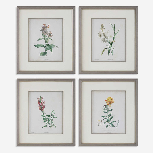 Uttermost Heirloom Blooms Study Set of 4 Framed Prints