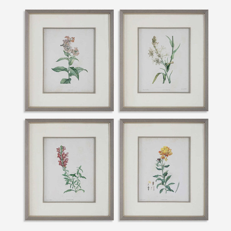 Uttermost Heirloom Blooms Study Set of 4 Framed Prints