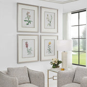 Uttermost Heirloom Blooms Study Set of 4 Framed Prints