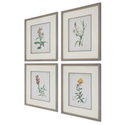 Uttermost Heirloom Blooms Study Set of 4 Framed Prints