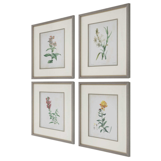 Uttermost Heirloom Blooms Study Set of 4 Framed Prints