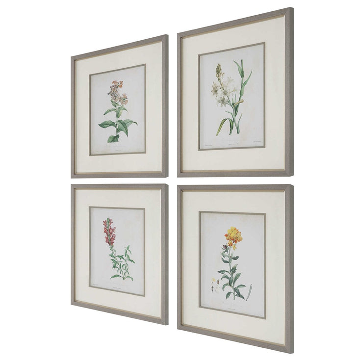 Uttermost Heirloom Blooms Study Set of 4 Framed Prints