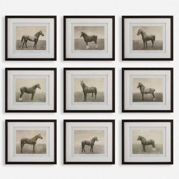Uttermost Equine Dynasty Horse Sketch Set of 9 Framed Prints