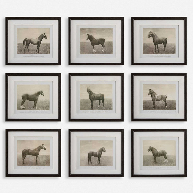 Uttermost Equine Dynasty Horse Sketch Set of 9 Framed Prints