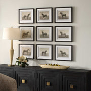 Uttermost Equine Dynasty Horse Sketch Set of 9 Framed Prints