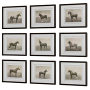 Uttermost Equine Dynasty Horse Sketch Set of 9 Framed Prints