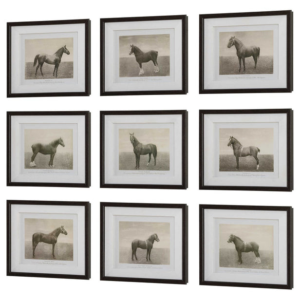 Uttermost Equine Dynasty Horse Sketch Set of 9 Framed Prints
