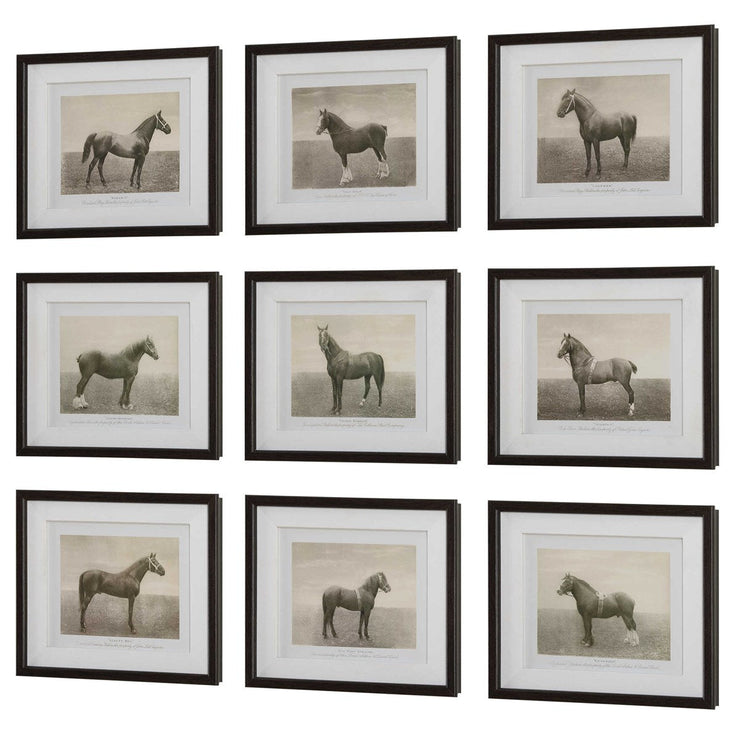 Uttermost Equine Dynasty Horse Sketch Set of 9 Framed Prints