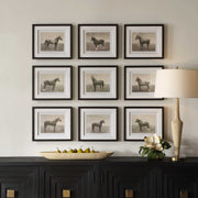 Uttermost Equine Dynasty Horse Sketch Set of 9 Framed Prints