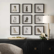 Uttermost Loyal Companion Dog Sketches Set of 9 Framed Prints