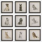 Uttermost Loyal Companion Dog Sketches Set of 9 Framed Prints