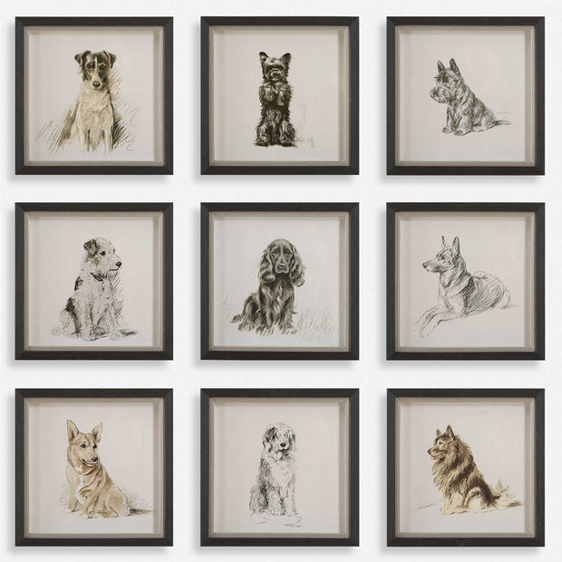Uttermost Loyal Companion Dog Sketches Set of 9 Framed Prints