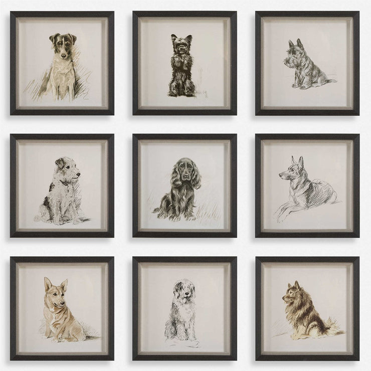 Uttermost Loyal Companion Dog Sketches Set of 9 Framed Prints