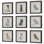Uttermost Loyal Companion Dog Sketches Set of 9 Framed Prints