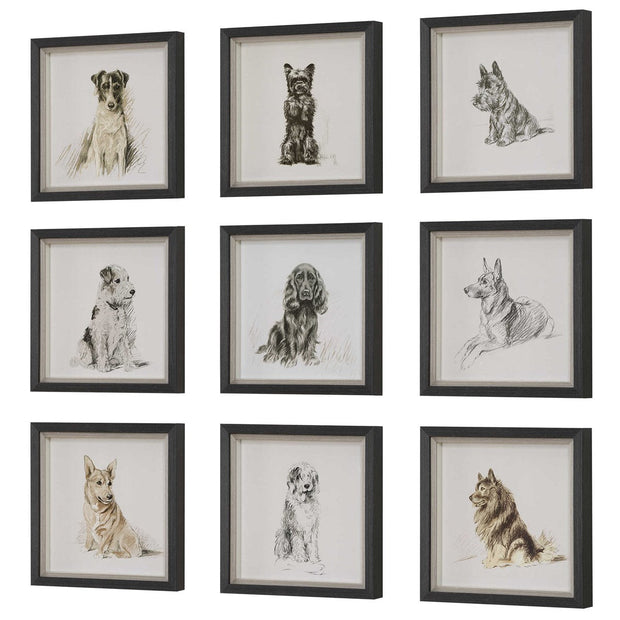 Uttermost Loyal Companion Dog Sketches Set of 9 Framed Prints