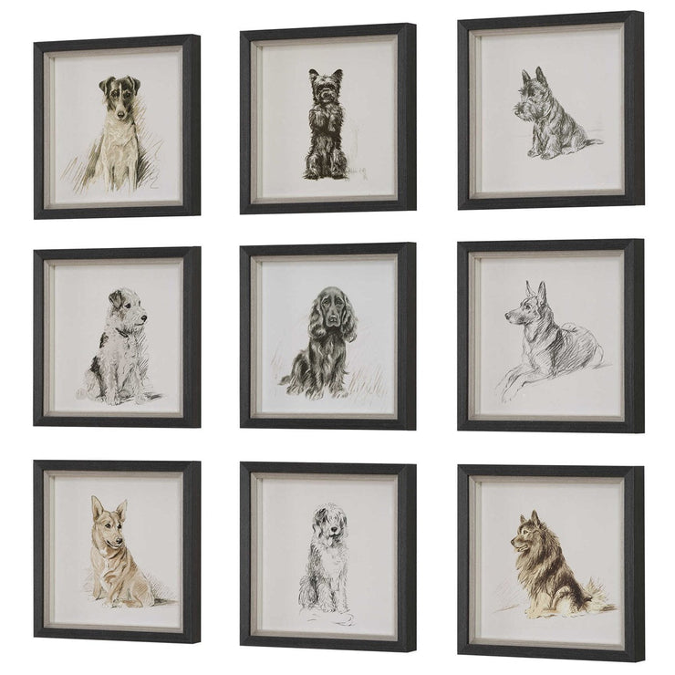Uttermost Loyal Companion Dog Sketches Set of 9 Framed Prints
