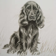 Uttermost Loyal Companion Dog Sketches Set of 9 Framed Prints