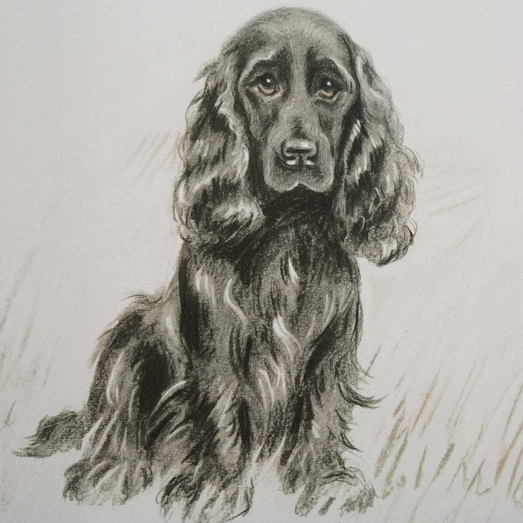 Uttermost Loyal Companion Dog Sketches Set of 9 Framed Prints