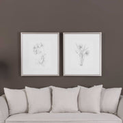 Uttermost Botanical Sketches Set of 2 Framed Prints