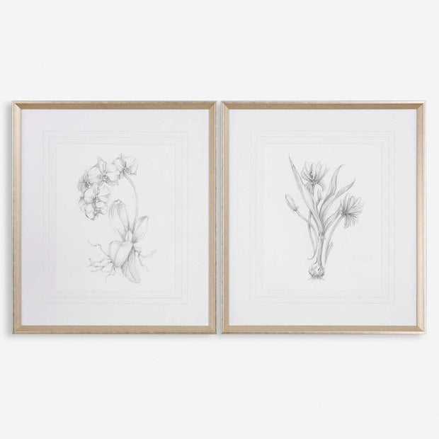 Uttermost Botanical Sketches Set of 2 Framed Prints