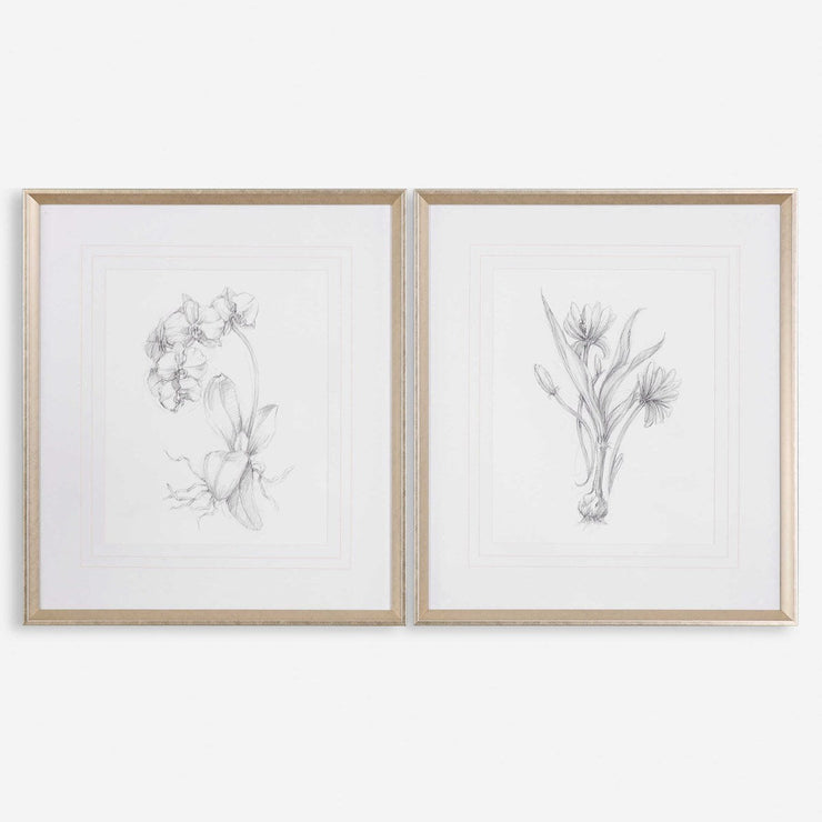 Uttermost Botanical Sketches Set of 2 Framed Prints