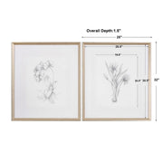 Uttermost Botanical Sketches Set of 2 Framed Prints