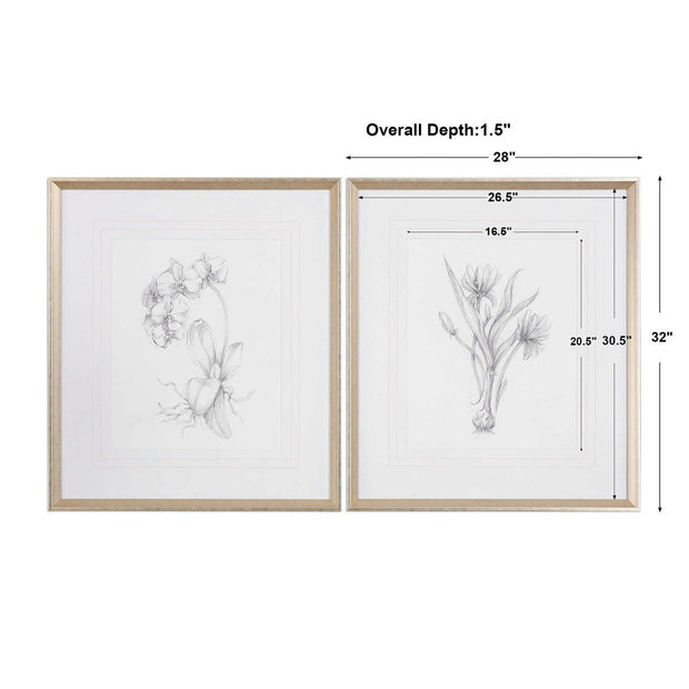 Uttermost Botanical Sketches Set of 2 Framed Prints