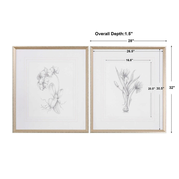 Uttermost Botanical Sketches Set of 2 Framed Prints