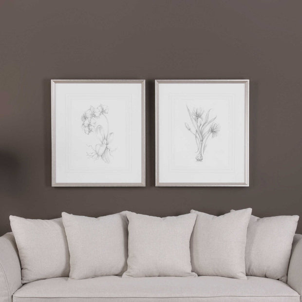 Uttermost Botanical Sketches Set of 2 Framed Prints