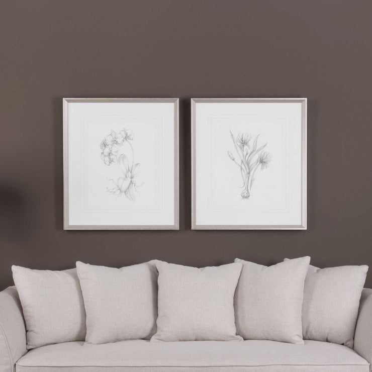 Uttermost Botanical Sketches Set of 2 Framed Prints