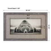 Uttermost Deep Sleep Bear Rustic Framed Print