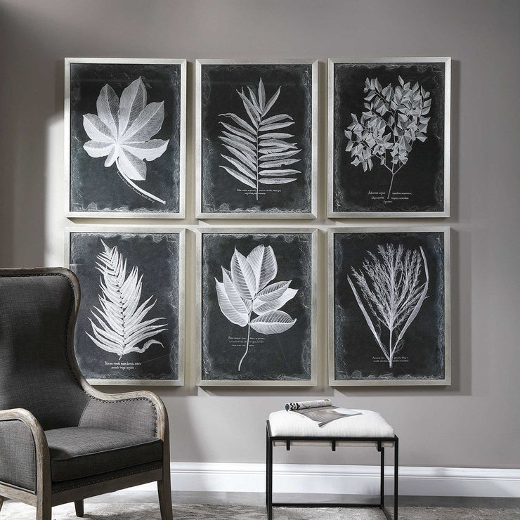 Uttermost Foliage Botanical Black and White Set of 6 Framed Prints