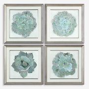 Uttermost Natural Beauties Set of 4 Framed Prints