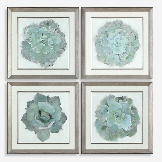 Uttermost Natural Beauties Set of 4 Framed Prints
