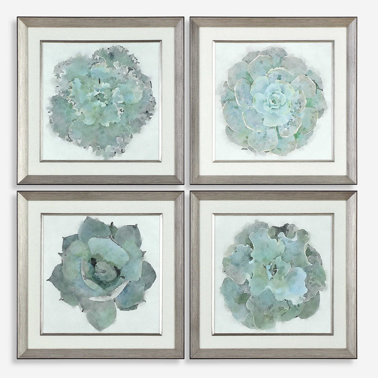 Uttermost Natural Beauties Set of 4 Framed Prints
