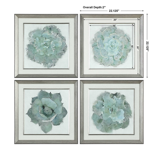 Uttermost Natural Beauties Set of 4 Framed Prints