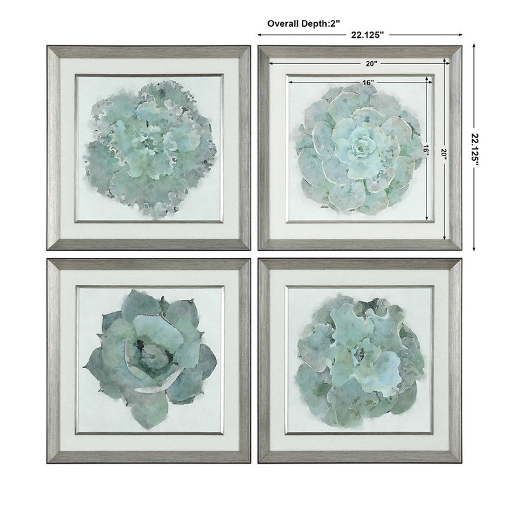 Uttermost Natural Beauties Set of 4 Framed Prints